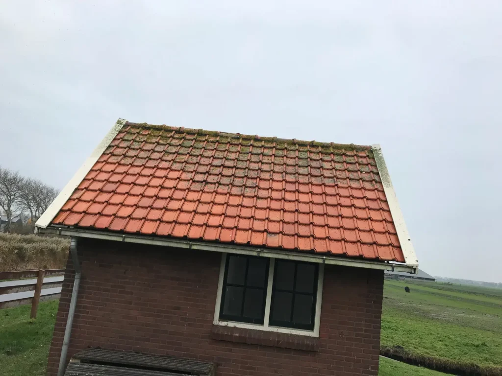dakpannen reiniging voor en na, De Ridder Cleaners