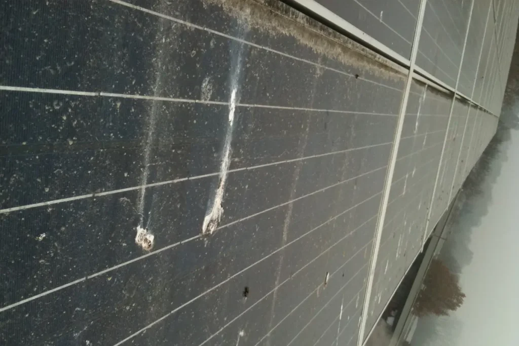 Zonnepanelen schoongemaakt voor meer lichtopbrengst